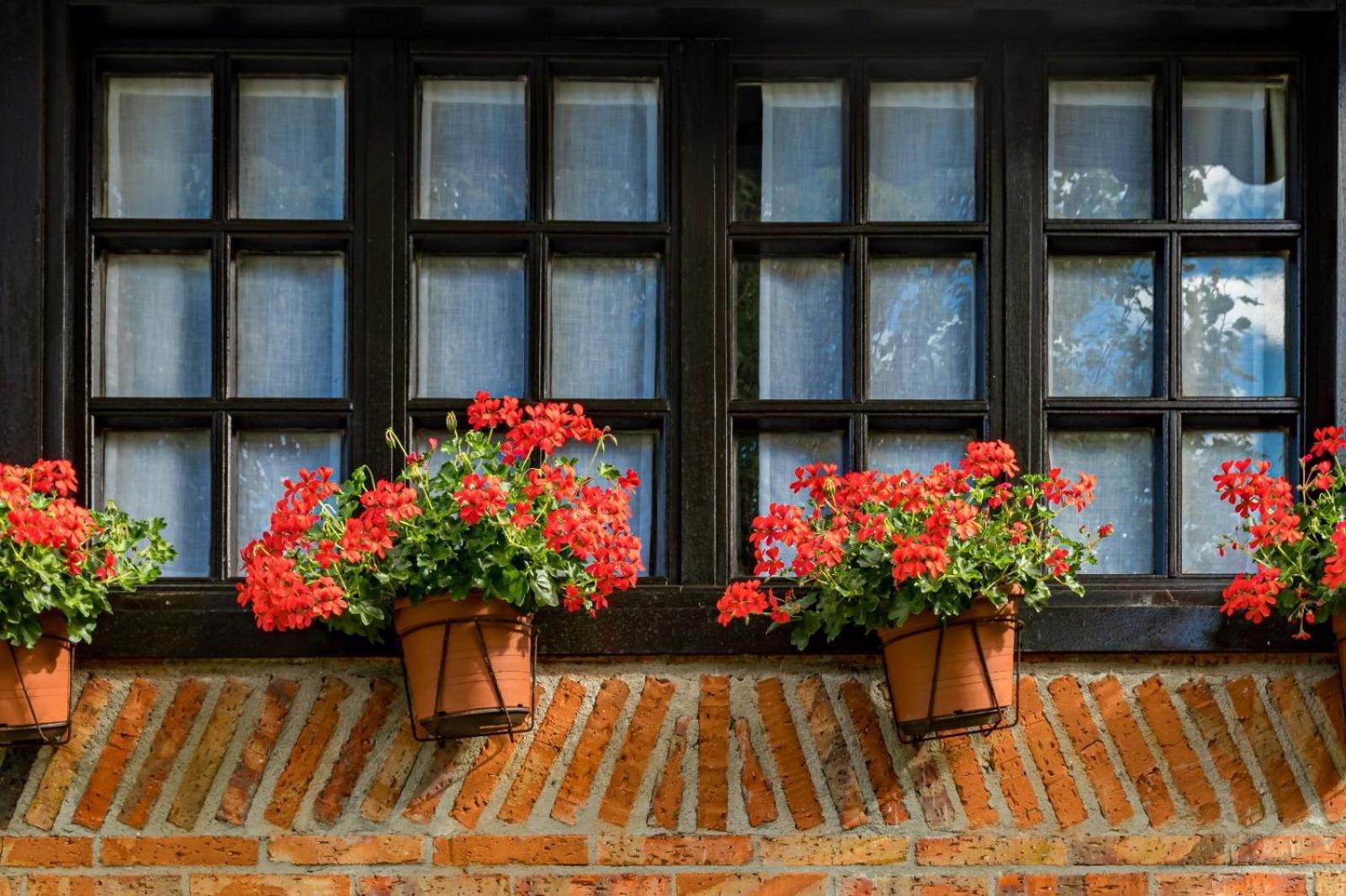 La Posada De Langre Langre  Eksteriør bilde